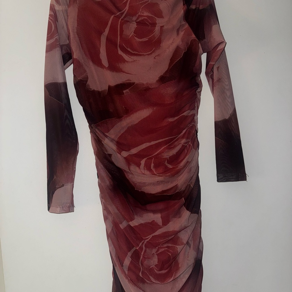Anthropologie Red and Black Floral Long Sleeve Dress